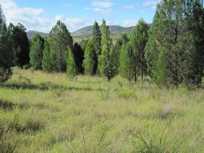 240 Windeyer Road, Mudgee NSW 2850