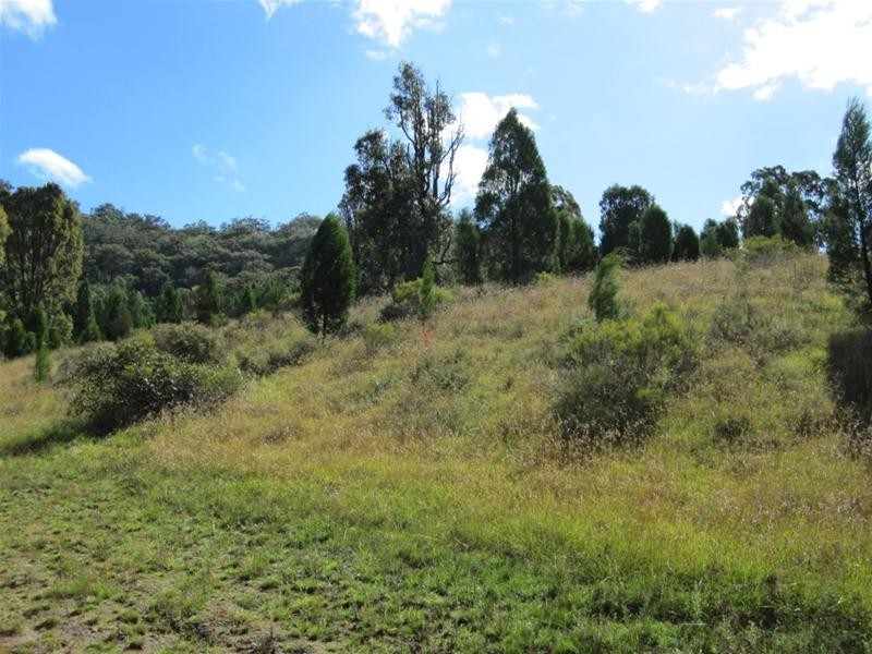 240 Windeyer Road, Mudgee NSW 2850