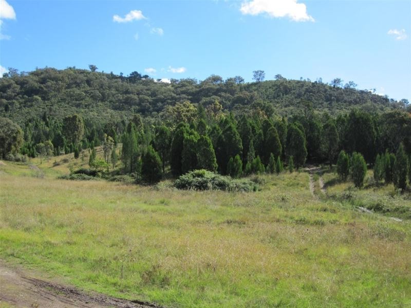 240 Windeyer Road, Mudgee NSW 2850