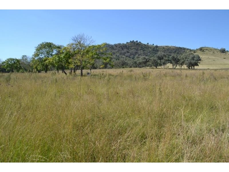 Mudgee NSW 2850