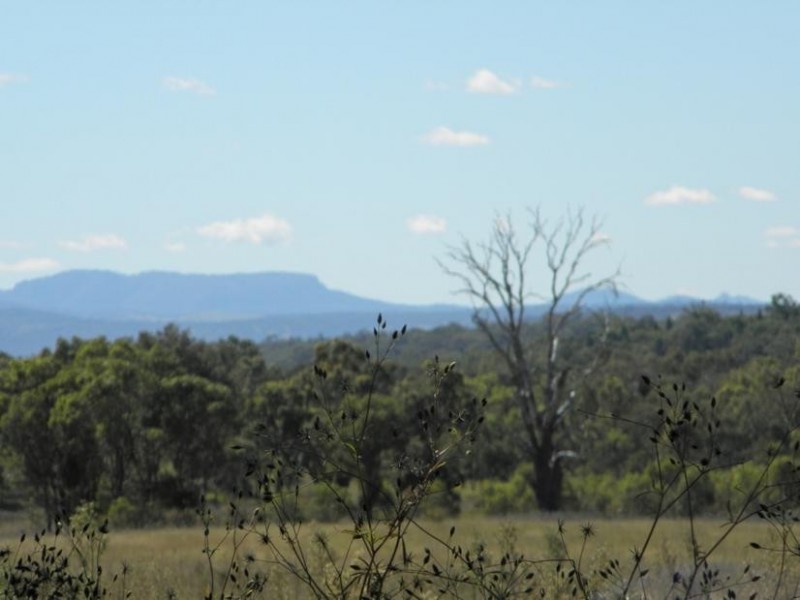 Mudgee NSW 2850