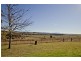 481 Melrose Road, Mount Frome NSW 2850