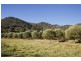 481 Melrose Road, Mount Frome NSW 2850