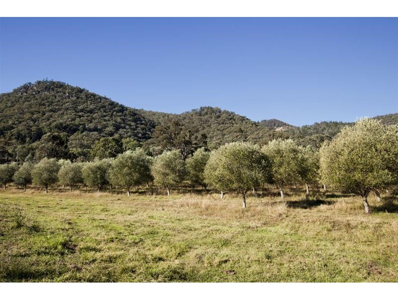 481 Melrose Road, Mount Frome NSW 2850