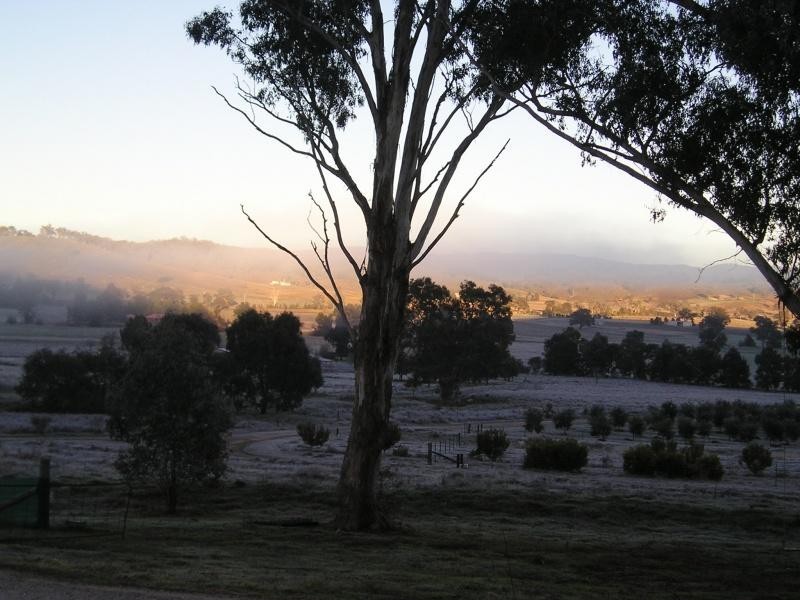 481 Melrose Road, Mount Frome NSW 2850