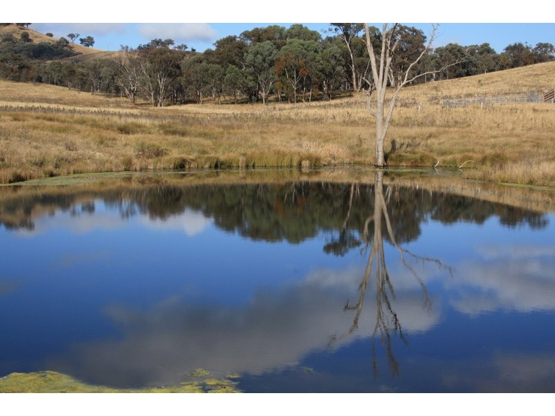 Mudgee NSW 2850