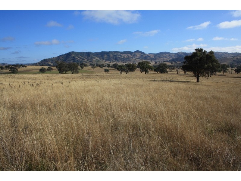 Mudgee NSW 2850