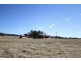 517 Castlereagh Higway, Mudgee NSW 2850