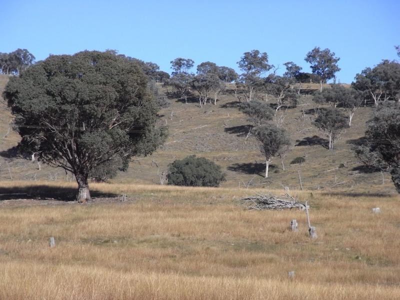 Lot 6,  Pyramul Road, Windeyer NSW 2850