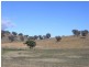 Lot 6,  Pyramul Road, Windeyer NSW 2850