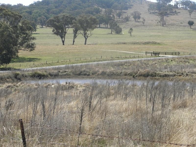 Lot 115,  Wollar Road, Budgee Budgee NSW 2850