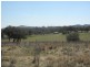 Lot 115,  Wollar Road, Budgee Budgee NSW 2850