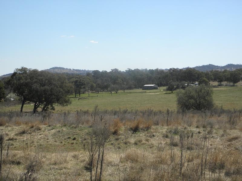 Lot 115,  Wollar Road, Budgee Budgee NSW 2850