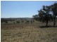 Lot 115,  Wollar Road, Budgee Budgee NSW 2850