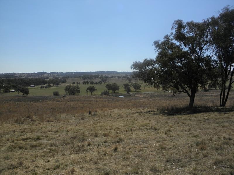 Lot 115,  Wollar Road, Budgee Budgee NSW 2850
