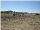 Lot 115,  Wollar Road, Budgee Budgee NSW 2850