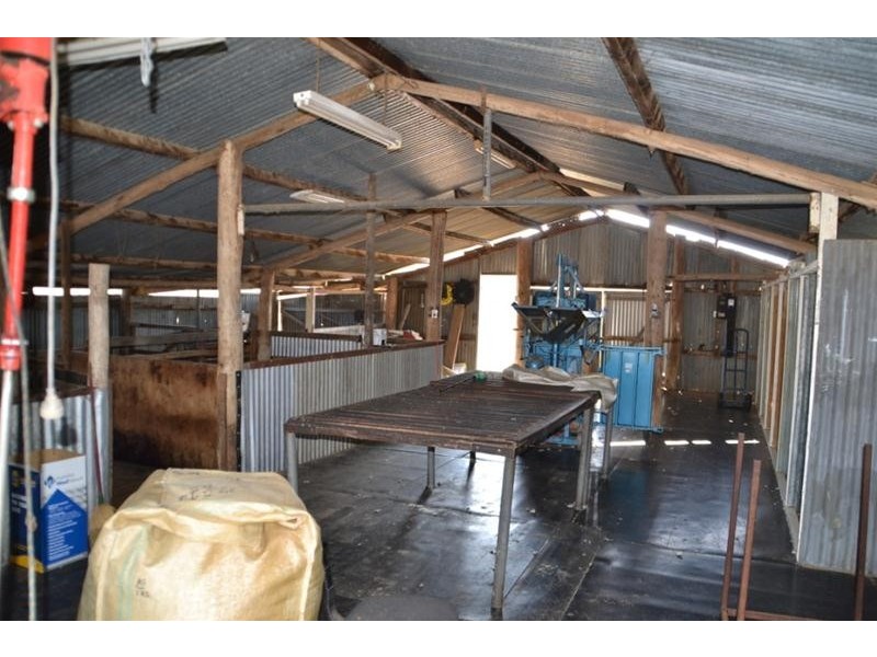 516 Pyramul Road, Windeyer NSW 2850