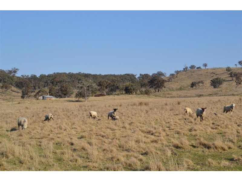 516 Pyramul Road, Windeyer NSW 2850