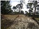 Mudgee NSW 2850