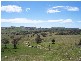 Mudgee NSW 2850