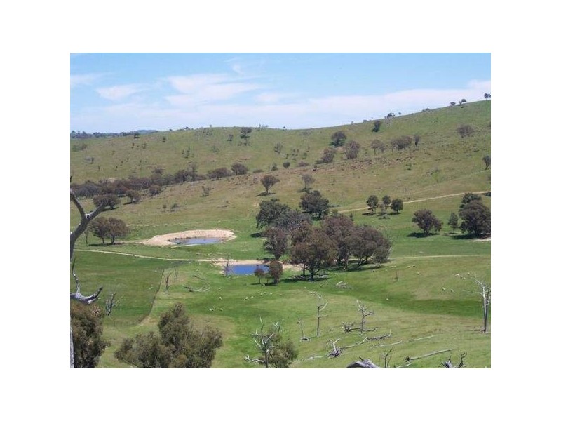 Mudgee NSW 2850