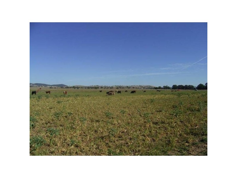 Mudgee NSW 2850
