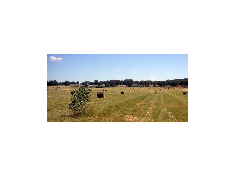 Mudgee NSW 2850