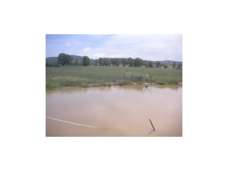 Mudgee NSW 2850