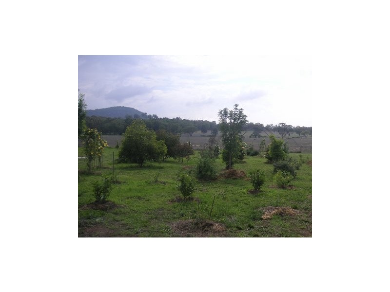 Mudgee NSW 2850