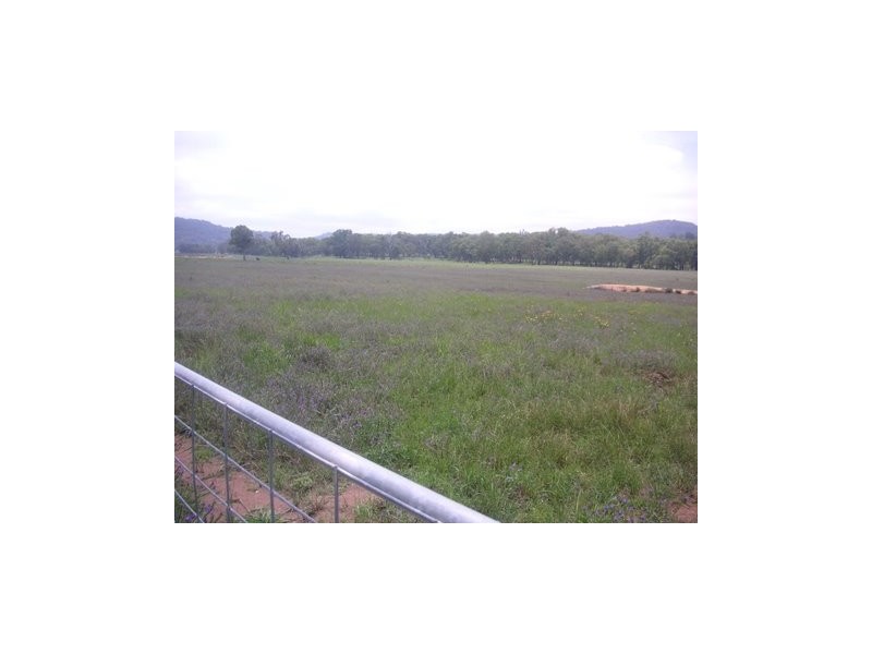 Mudgee NSW 2850