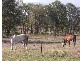 Mudgee NSW 2850