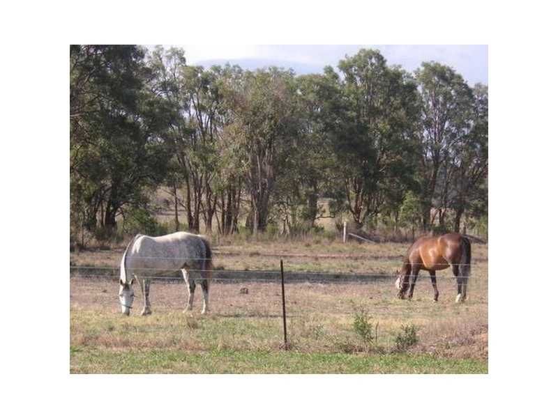 Mudgee NSW 2850