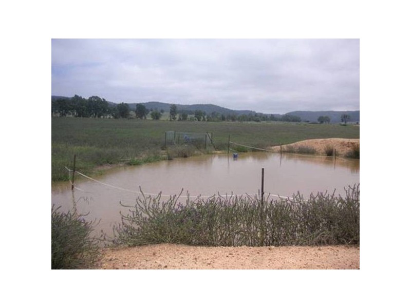 Mudgee NSW 2850