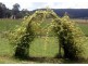 Mudgee NSW 2850