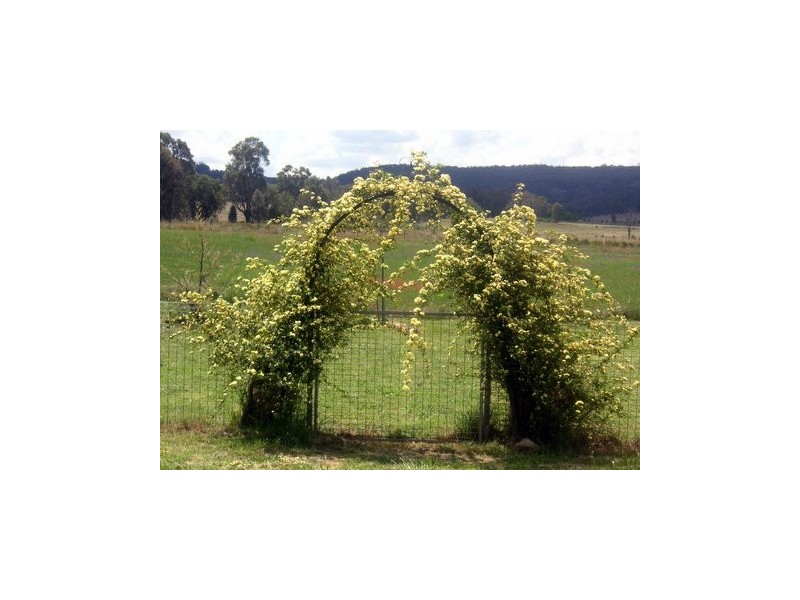 Mudgee NSW 2850