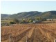 Mudgee NSW 2850