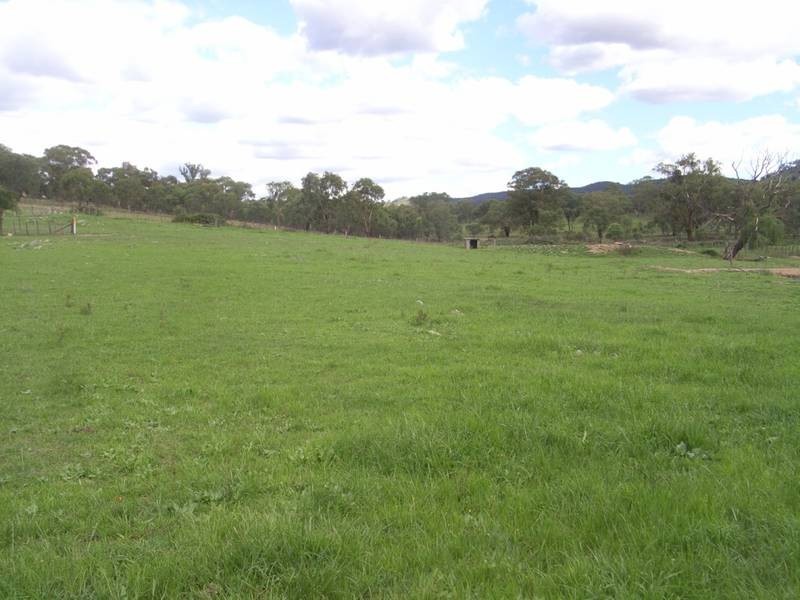 Mudgee NSW 2850