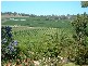 Mudgee NSW 2850
