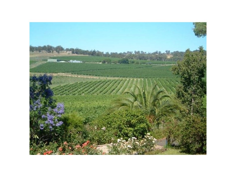Mudgee NSW 2850