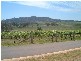 Mudgee NSW 2850