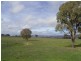 Mudgee NSW 2850