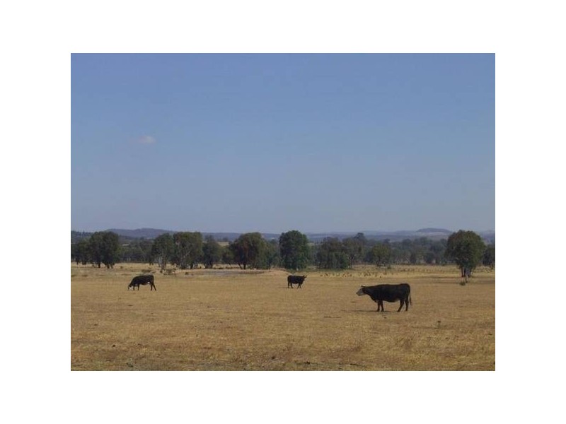 Mudgee NSW 2850