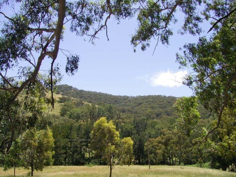 Mudgee NSW 2850