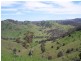 Mudgee NSW 2850