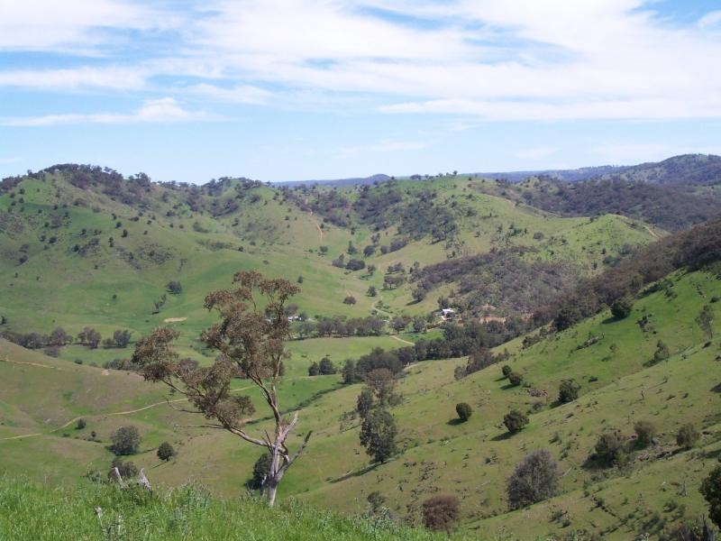 Mudgee NSW 2850