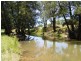 Mudgee NSW 2850