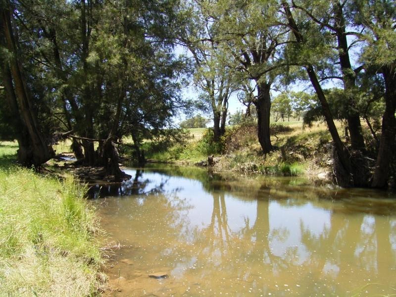 Mudgee NSW 2850