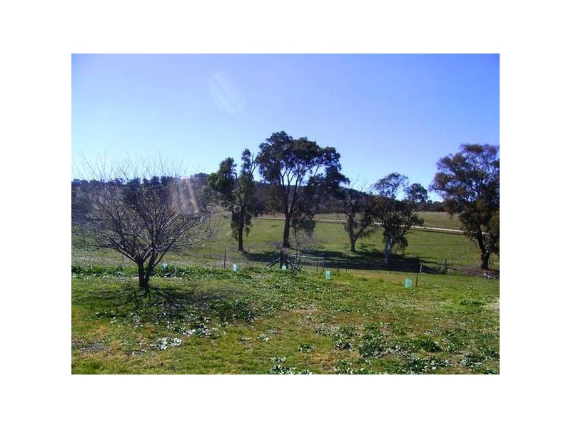 Mudgee NSW 2850