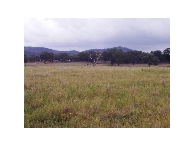 Mudgee NSW 2850