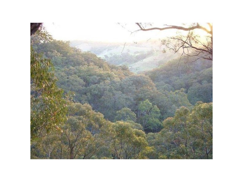Mudgee NSW 2850
